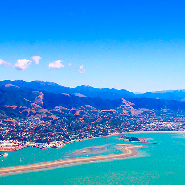 Nelson