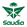 Saudi Arabian Airlines
